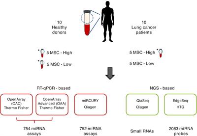 A Cross-Comparison of High-Throughput Platforms for Circulating MicroRNA Quantification, Agreement in Risk Classification, and Biomarker Discovery in Non-Small Cell Lung Cancer